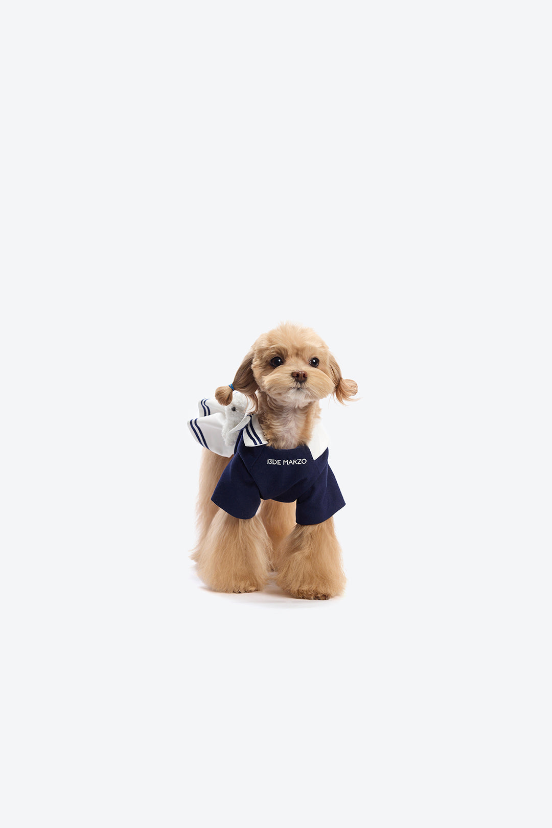 13DE MARZO Sailor Bear Pet Dress